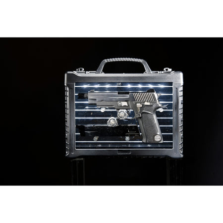 WE P-VIRUSESl GBB Pistol (  P226 )