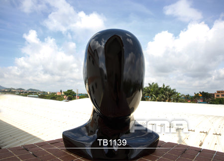 FMA Helmet Display Model ( Resin Black )