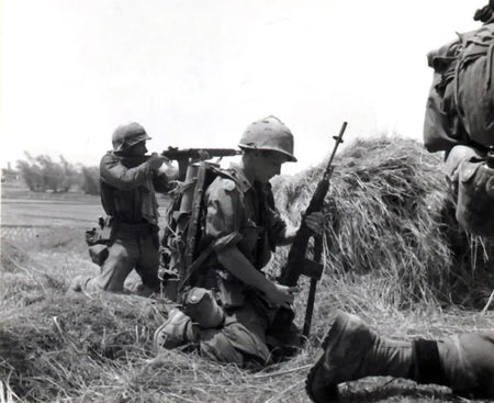 WE M14 GBB Rifle Airsoft  ( Wood Color ) ( Marking Ver. )