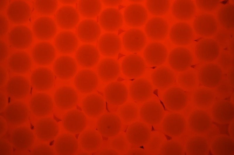 Acetech Tracer BBs 0.25g 6mm 2700CT ( Bottle ) ( Green / Red )-Red