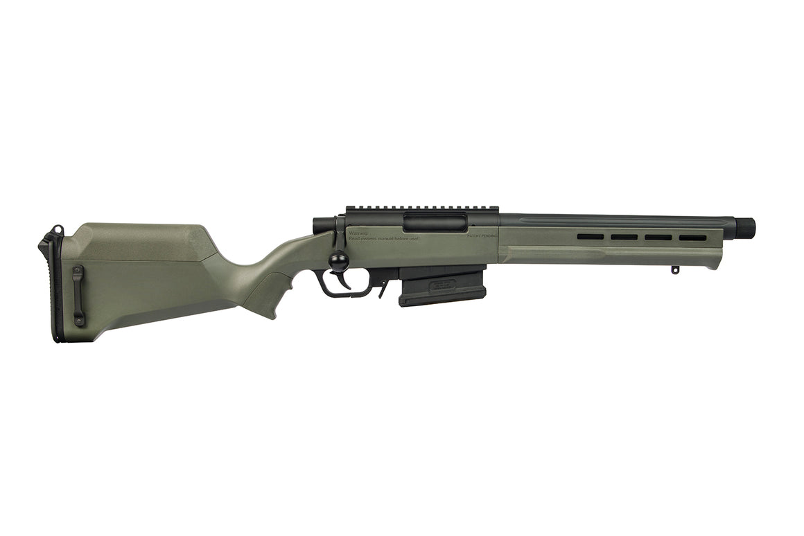 ARES Amoeba "STRIKER" AS-02 Bolt-Action Sniper Rifle ( UG )
