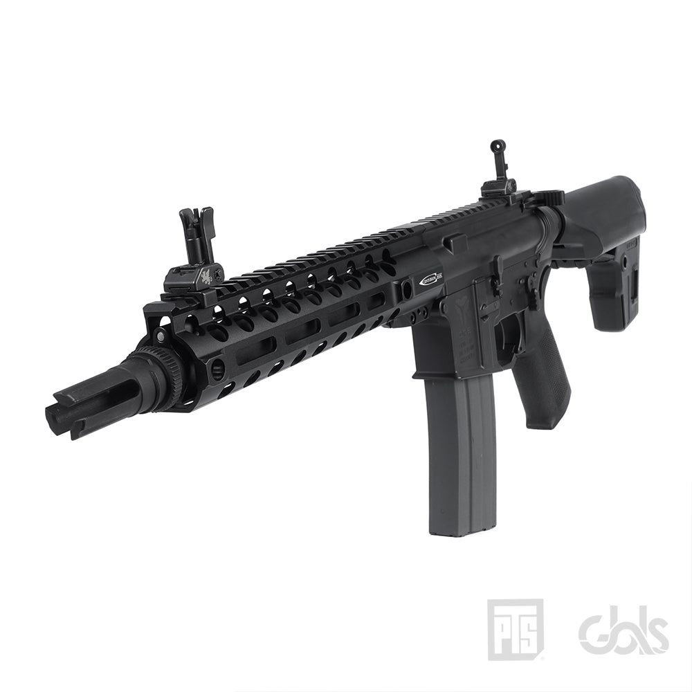GBLS DAS GDR15 9.5 Inch Custom Completed Airsoft ( PTS Centurion