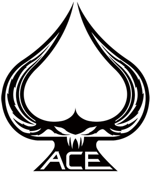 Ace 1 Arms ( Ace One Arms )