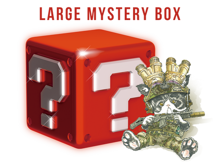 LARGE Mystery Box ($90) [Valued USD$140-160]