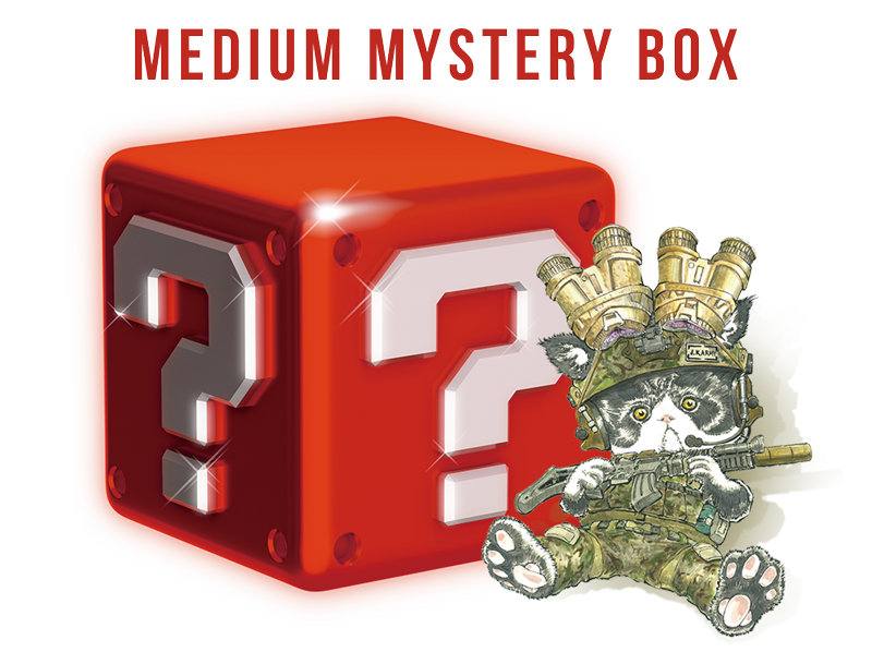 MEDIUM Mystery Box (USD$30) [Valued USD$45-65]