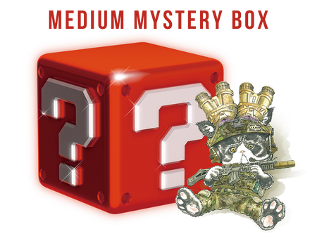 MEDIUM Mystery Box (USD$30) [Valued USD$45-65]