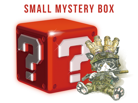 SMALL Mystery Box (USD$10) [Valued USD$20-25]
