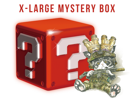 EXTRA-LARGE Mystery Box ($160) [Valued USD$210-230]