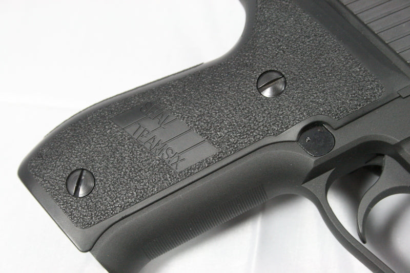 WE F226 Rail Full Metal GBB Pistol ( Black ) ( P226 )