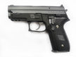 WE F229 Railed Full Metal GBB Pistol ( No Marking ) ( BK ) ( 229 )